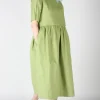 Tiger Shrike Dress - Avocado