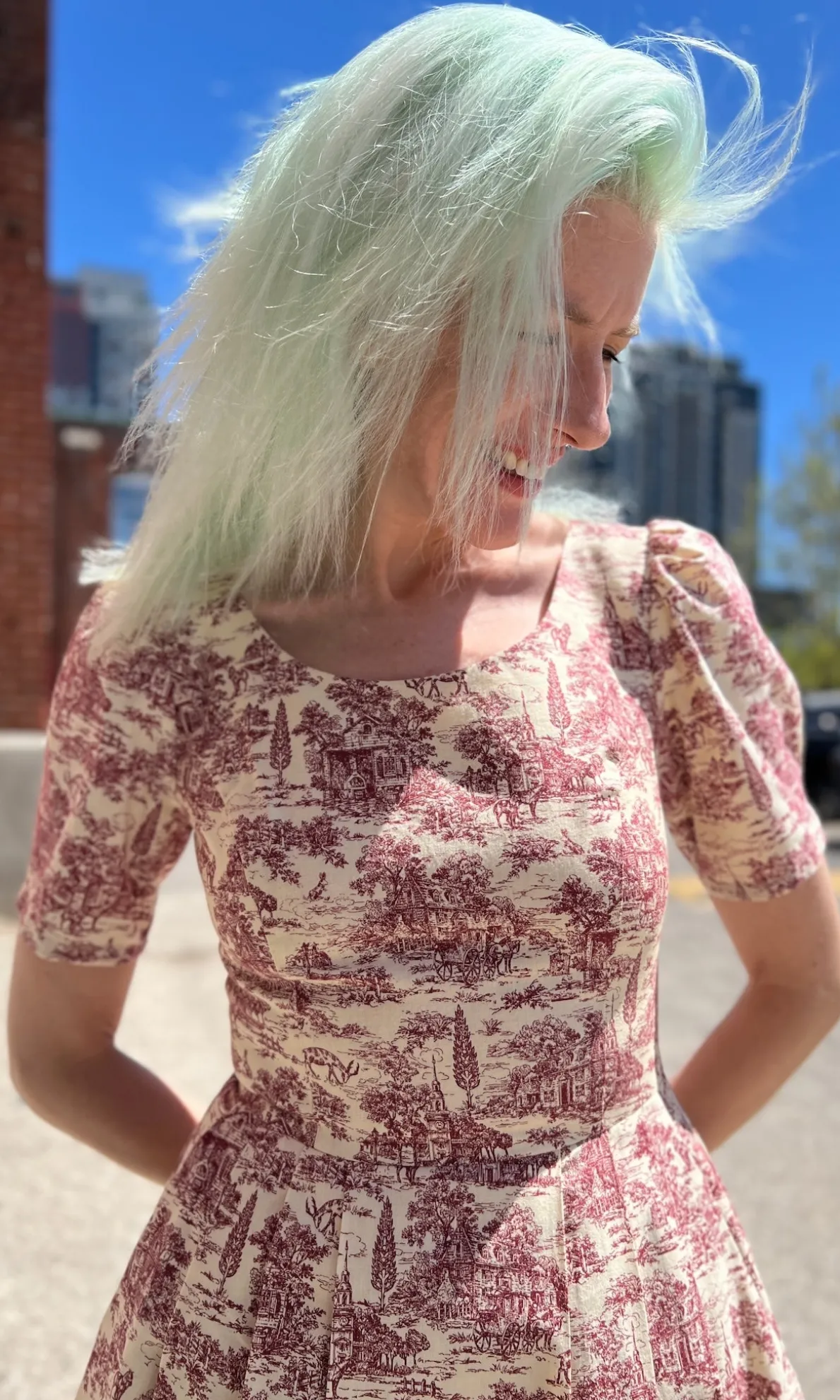 Winter Chippy Dress - Brick Village Toile