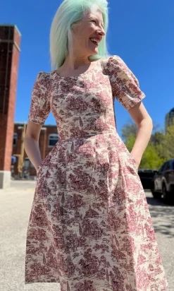 Winter Chippy Dress - Brick Village Toile